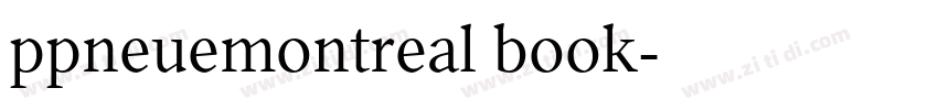 ppneuemontreal book字体转换
